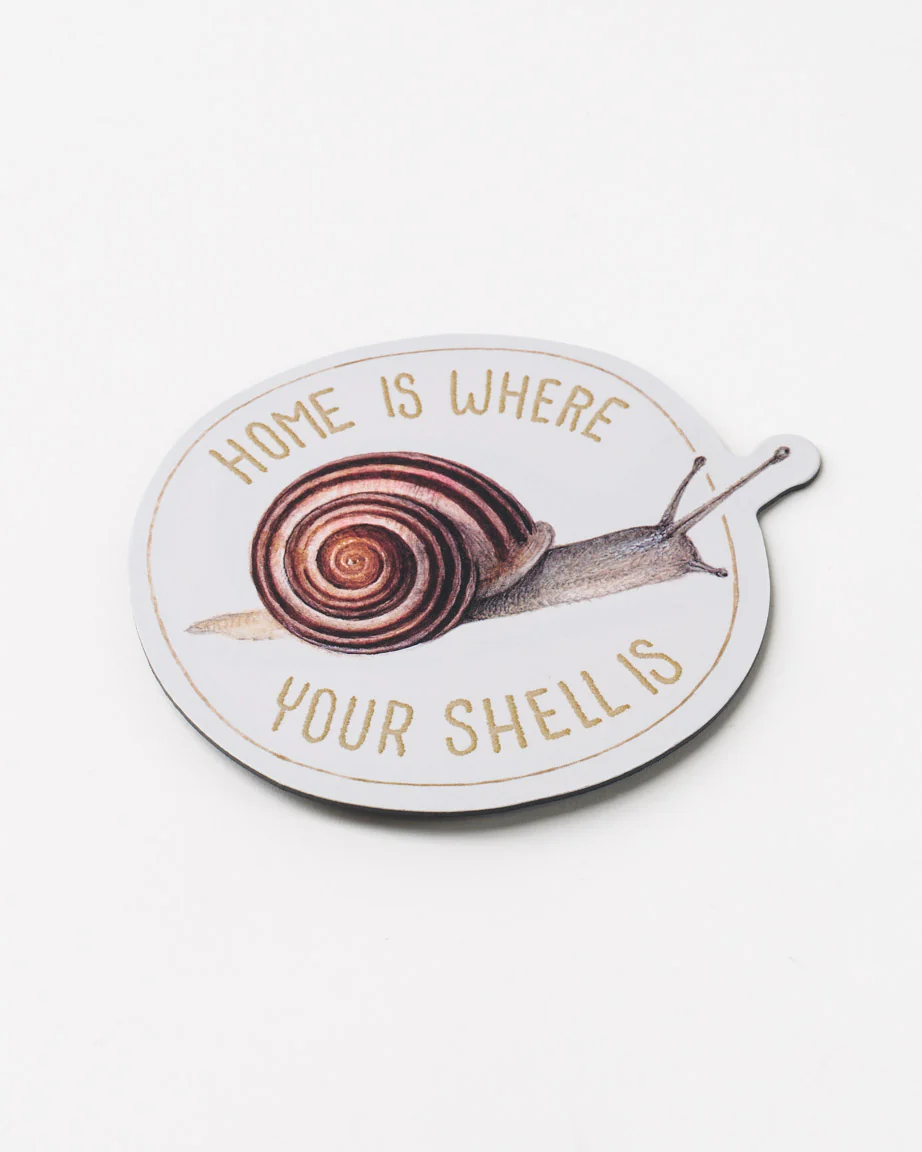 Home is Where Your Shell is Magnet
