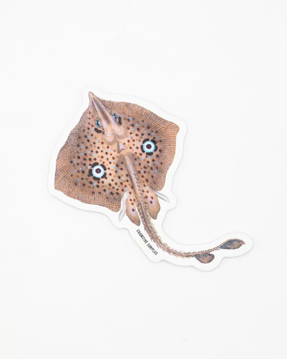 Homelyn Mirror Ray Sticker - Image 2