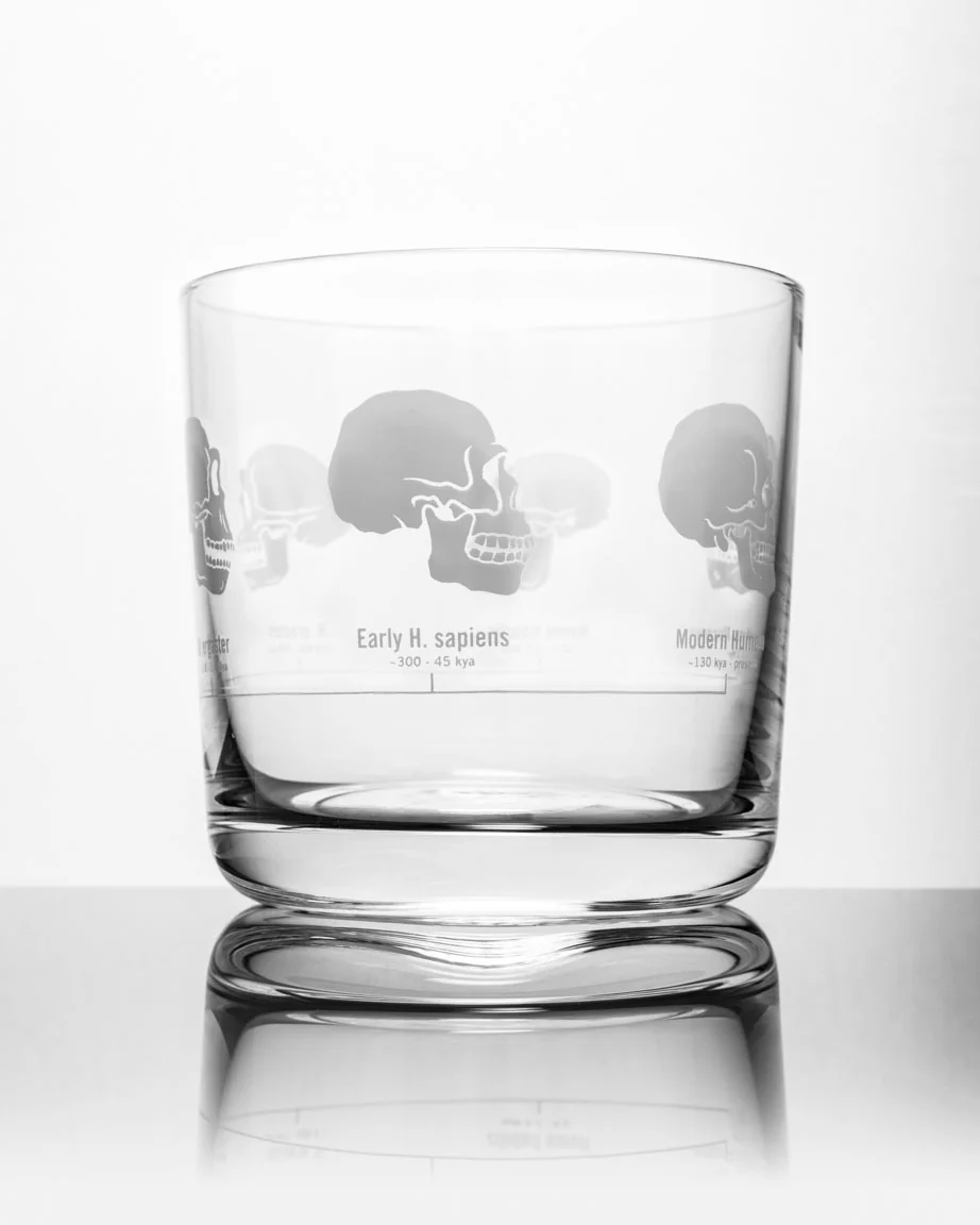 Hominid Skulls Whiskey Glass - Image 3