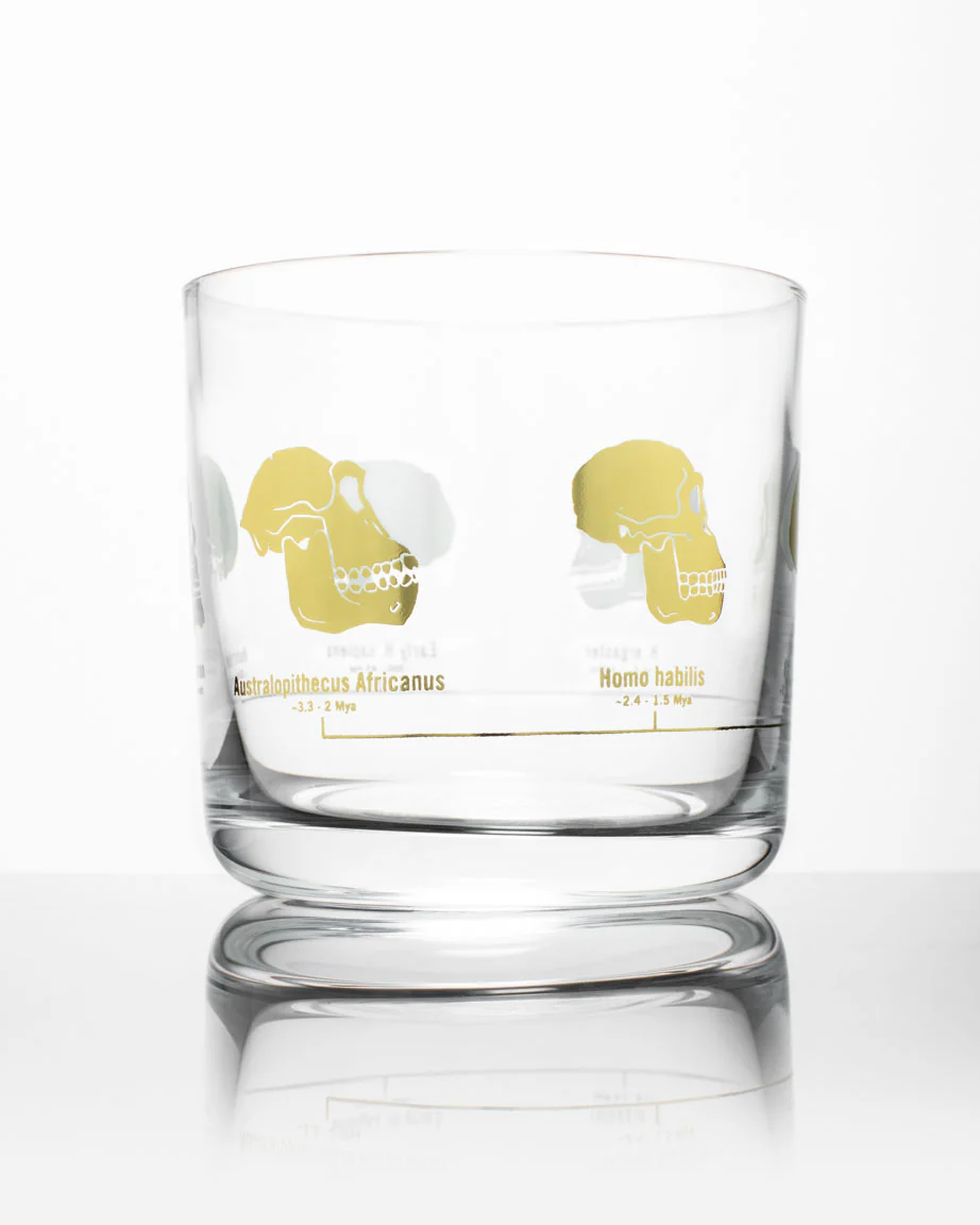 Hominid Skulls Whiskey Glass - Image 4