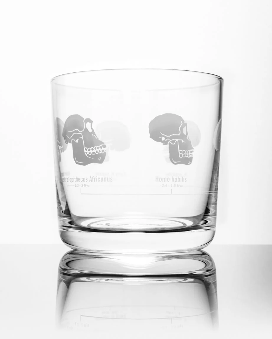 Hominid Skulls Whiskey Glass - Image 5