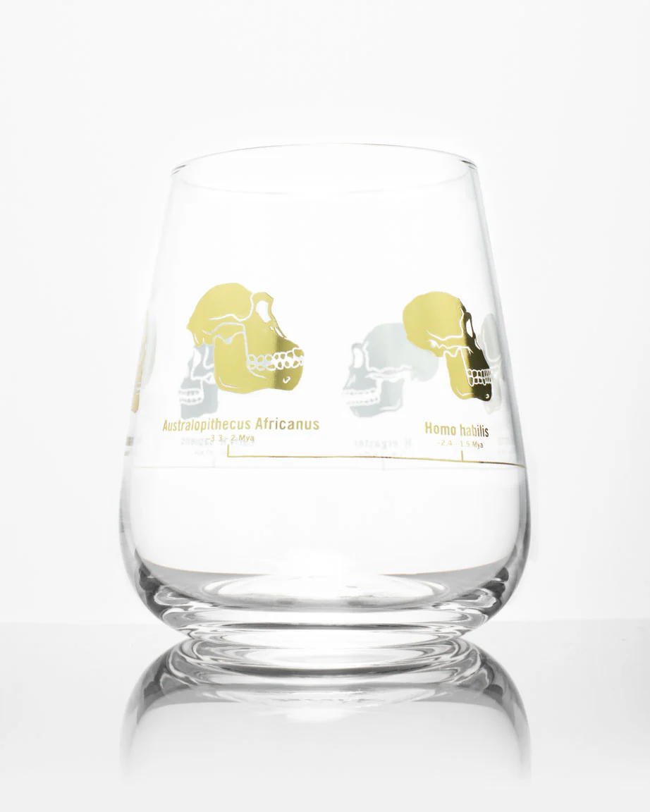 Hominid Skulls Wine Glass - Image 3