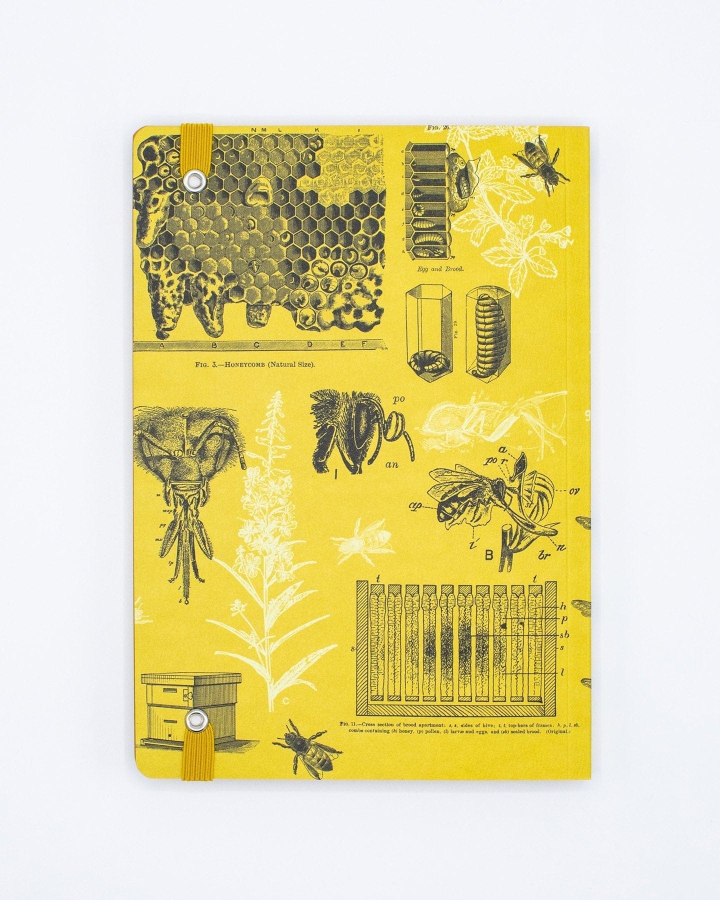Honey Bee A5 Softcover Notebook - Image 3