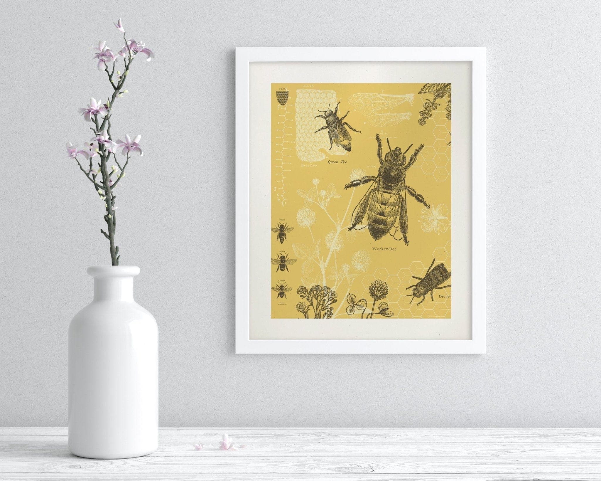 Honey Bee Scientific Illustration Museum Print - Image 3