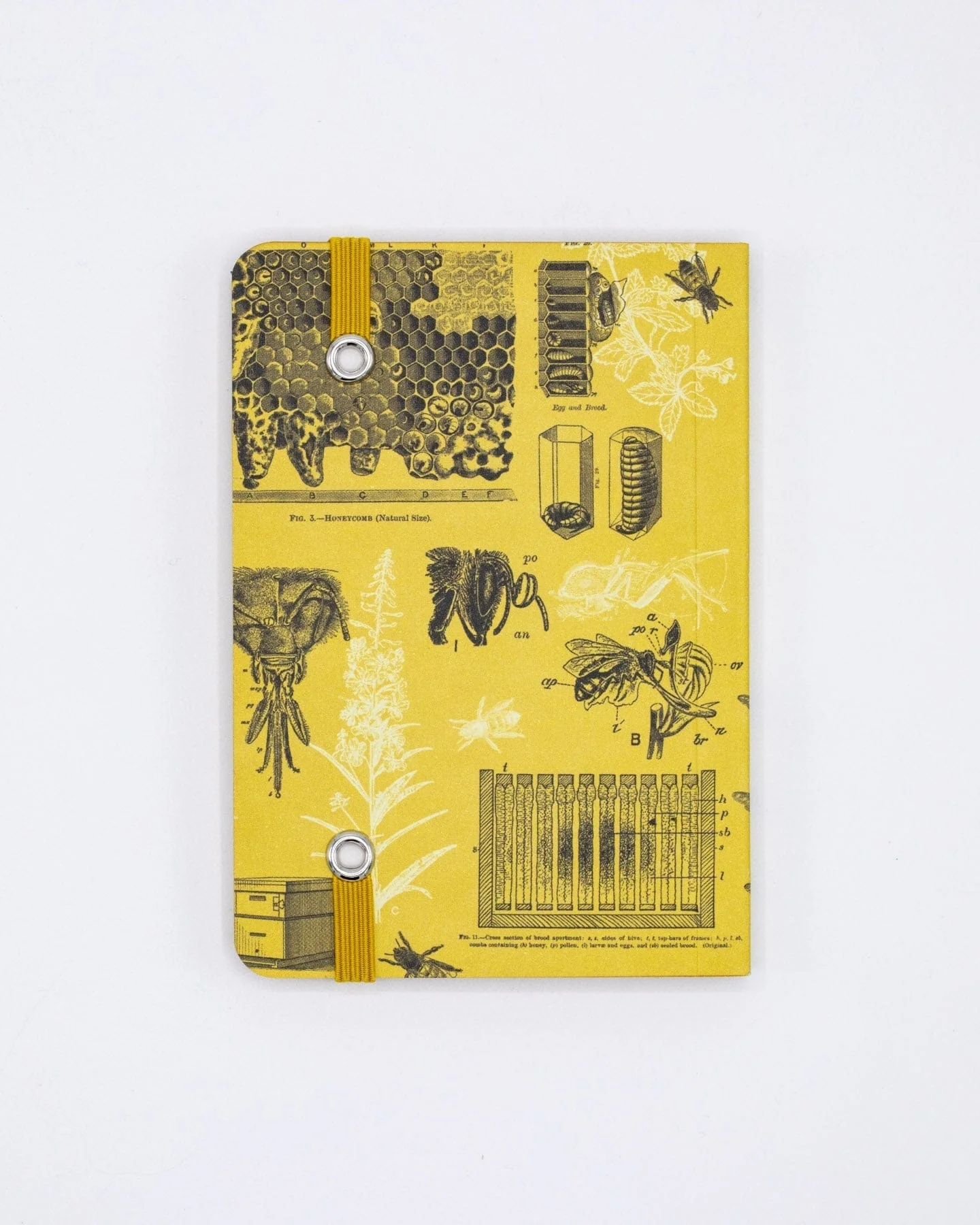 Honey Bee Observation Softcover - Image 3
