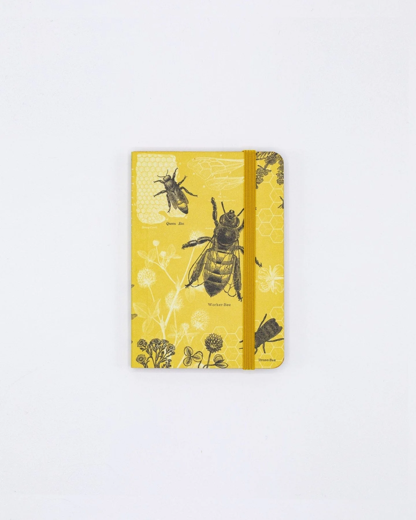 Honey Bee Observation Softcover - Image 4