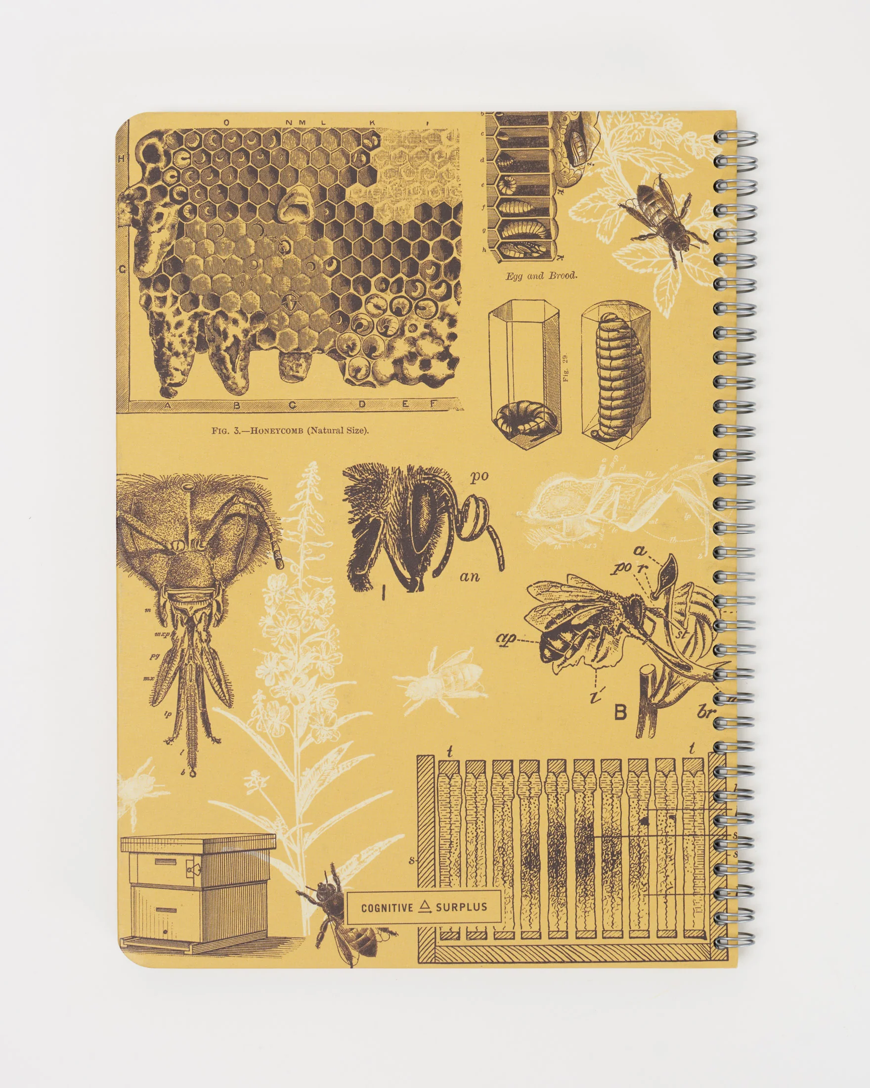 Honey Bee Spiral Notebook - Image 2