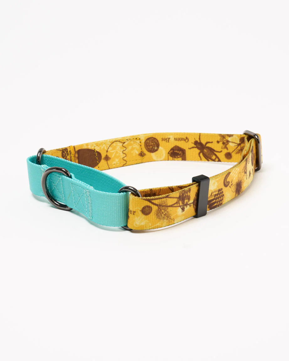 Honey Bees Eco Martingale Collar - Image 3