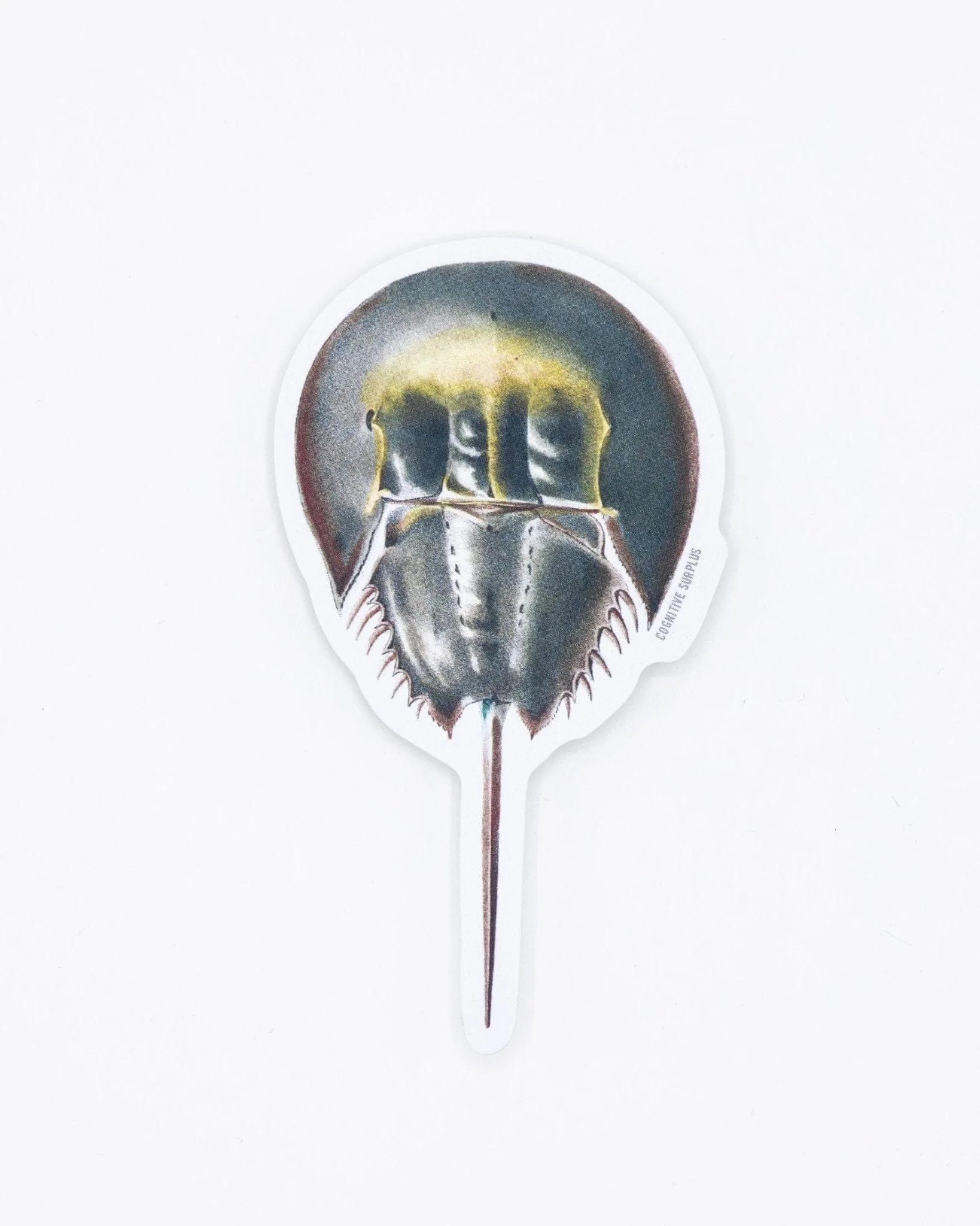 Horseshoe Crab Sticker - Image 2