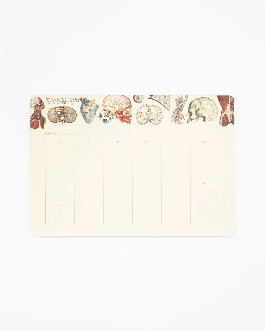 Human Anatomy Notepads - Image 2