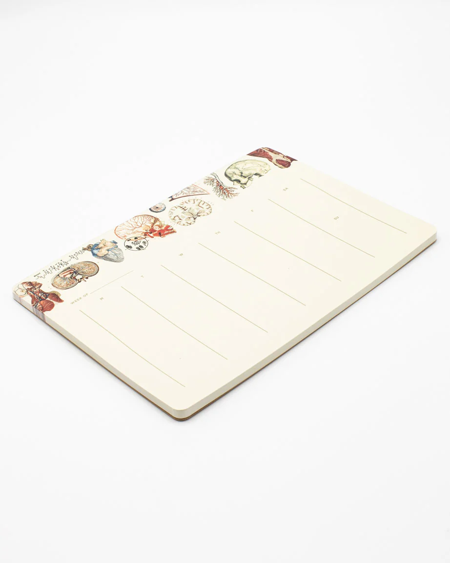 Human Anatomy Notepads - Image 3