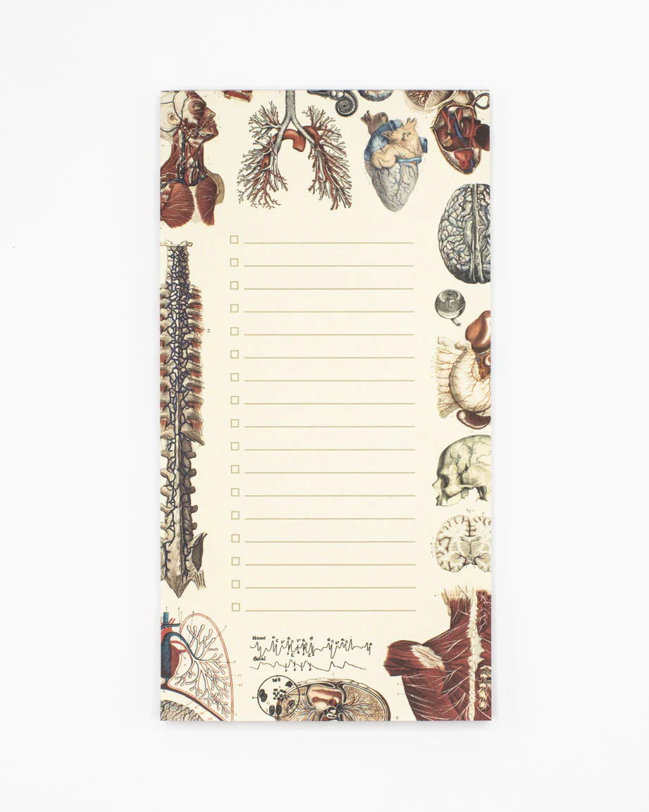 Human Anatomy Notepads - Image 4