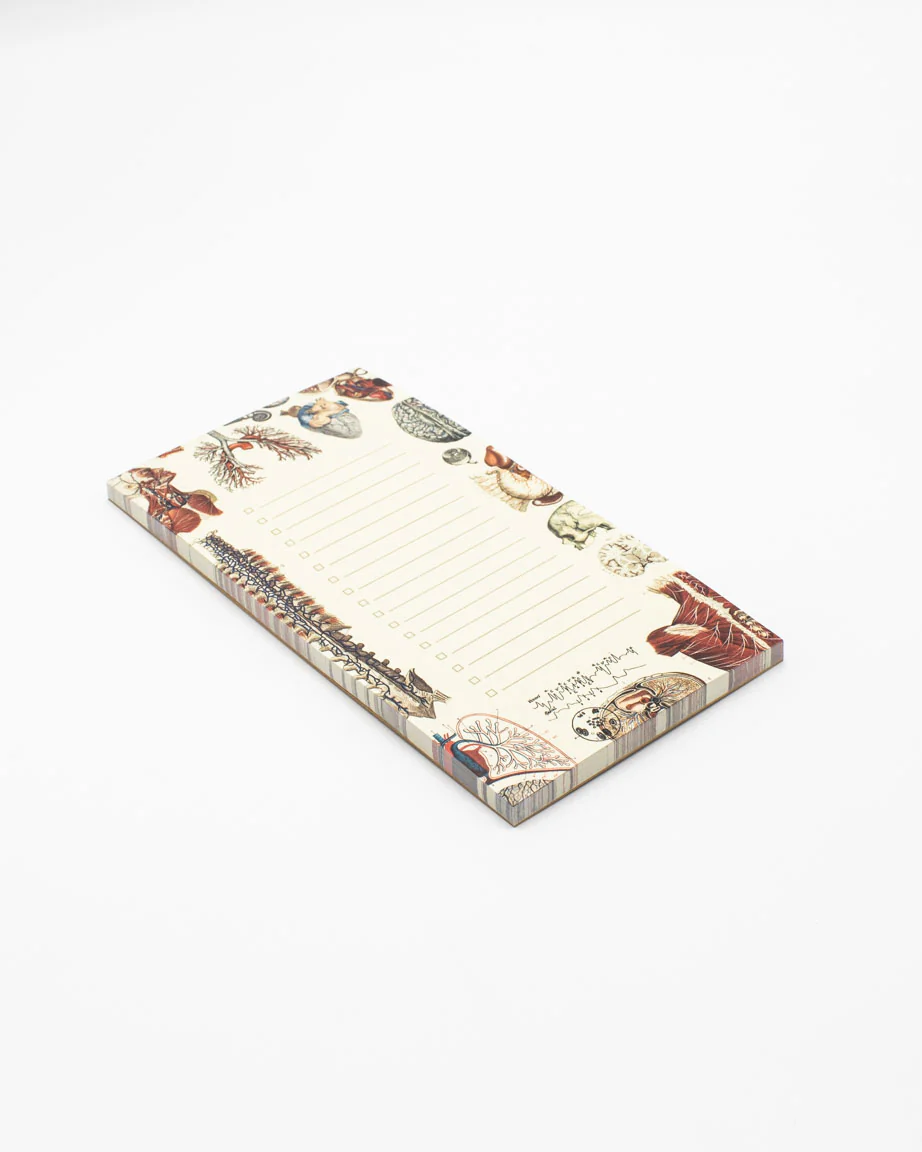 Human Anatomy Notepads - Image 5