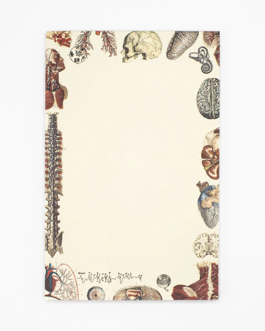 Human Anatomy Notepads - Image 6