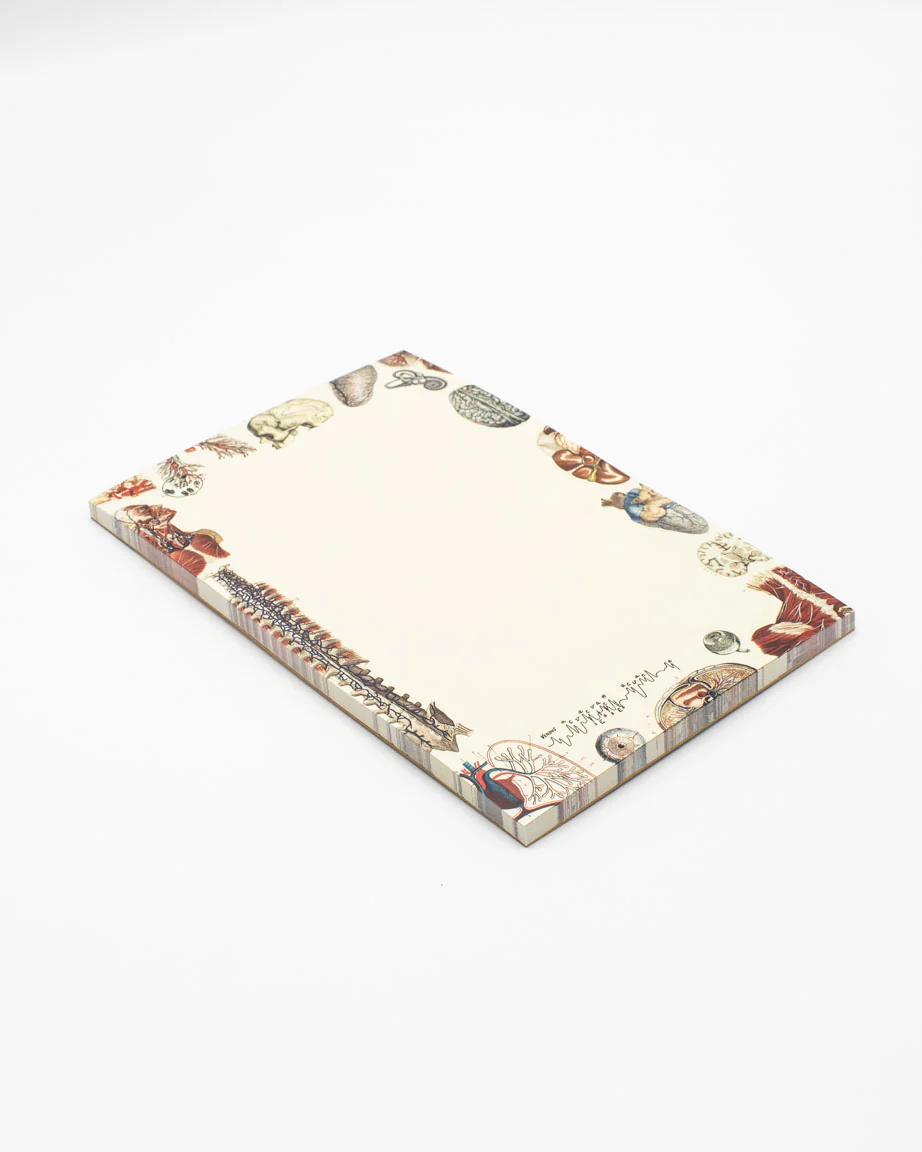 Human Anatomy Notepads - Image 7