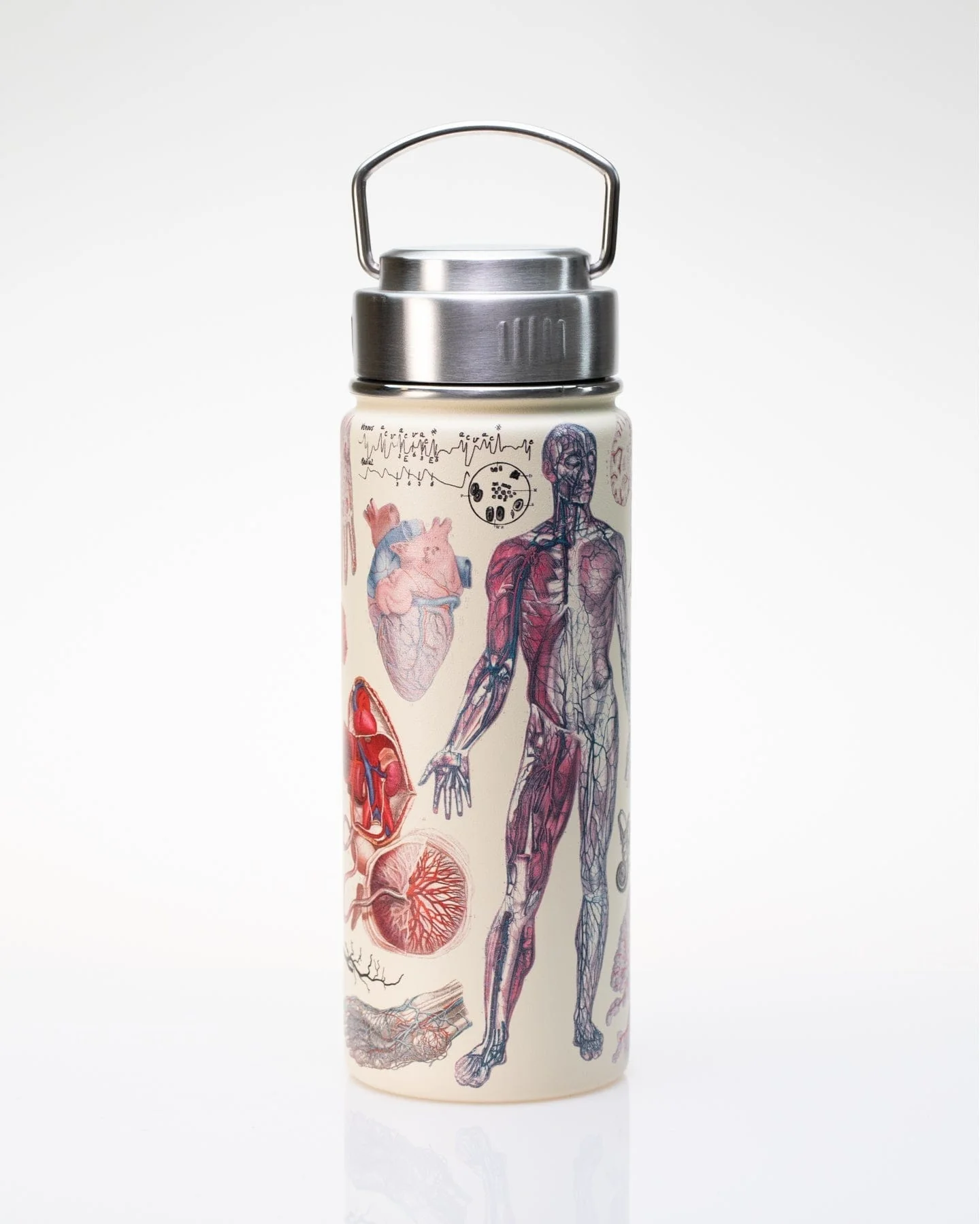 Human Anatomy 18 oz Steel Bottle