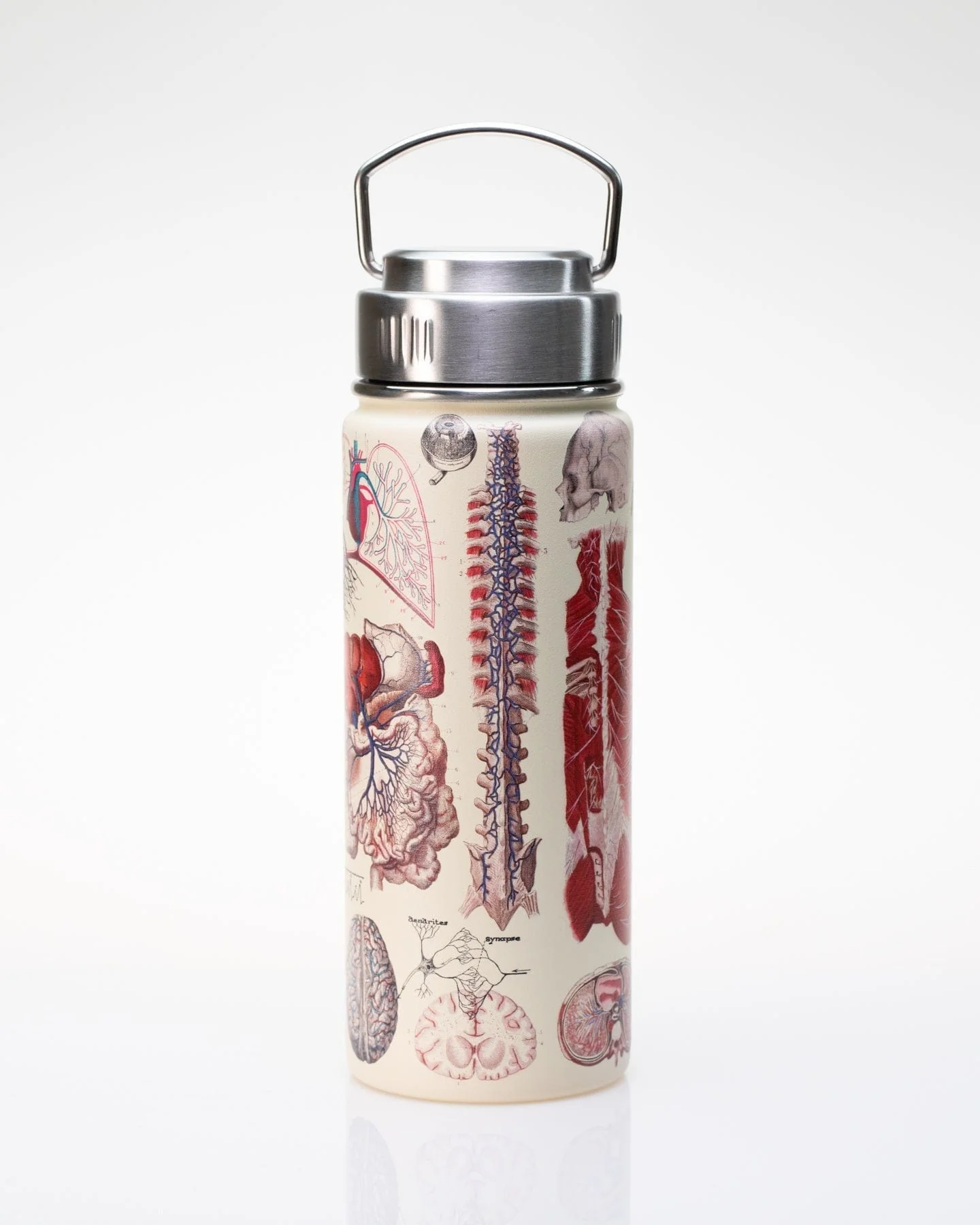 Human Anatomy 18 oz Steel Bottle - Image 2