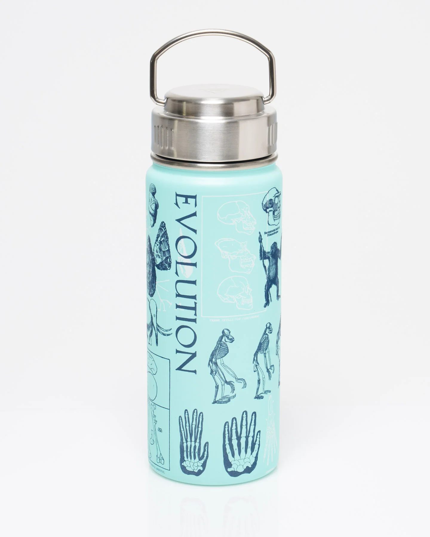 Human Evolution 18 oz Steel Bottle