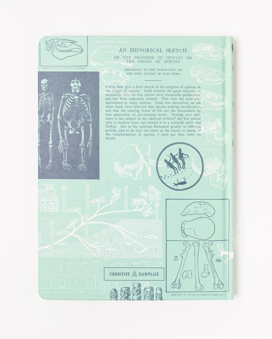 Human Evolution Hardcover Notebook - Lined / Grid - Image 2