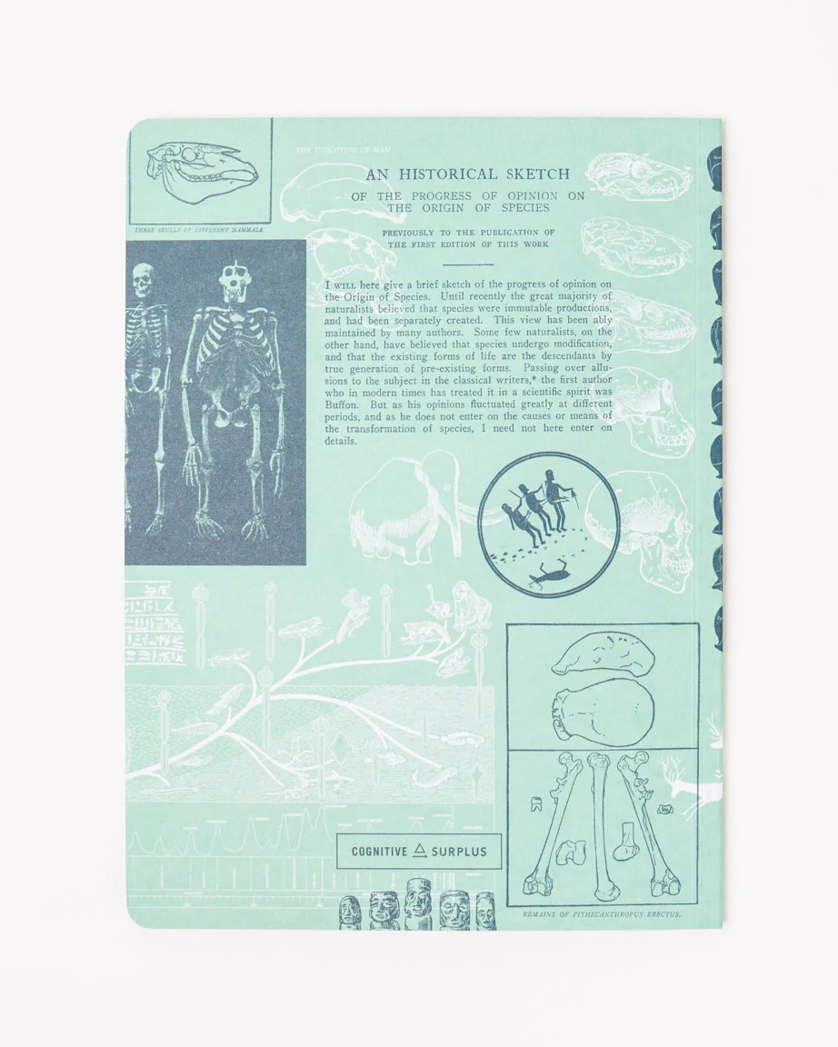 Human Evolution Softcover Notebook - Lined - Image 2