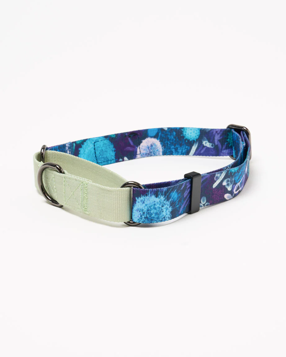 Infectious Disease Eco Martingale Collar - Image 3