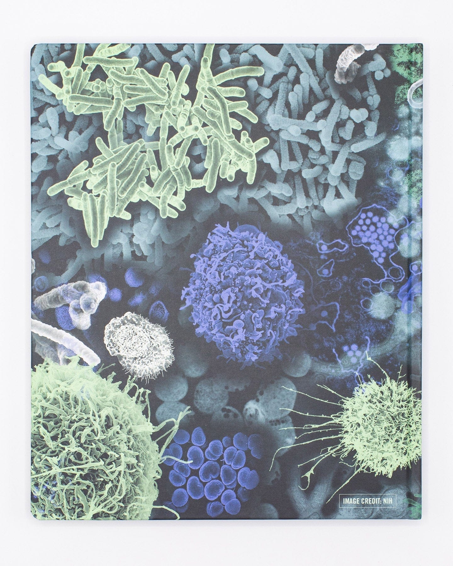 Infectious Disease Lab Notebook - Image 2