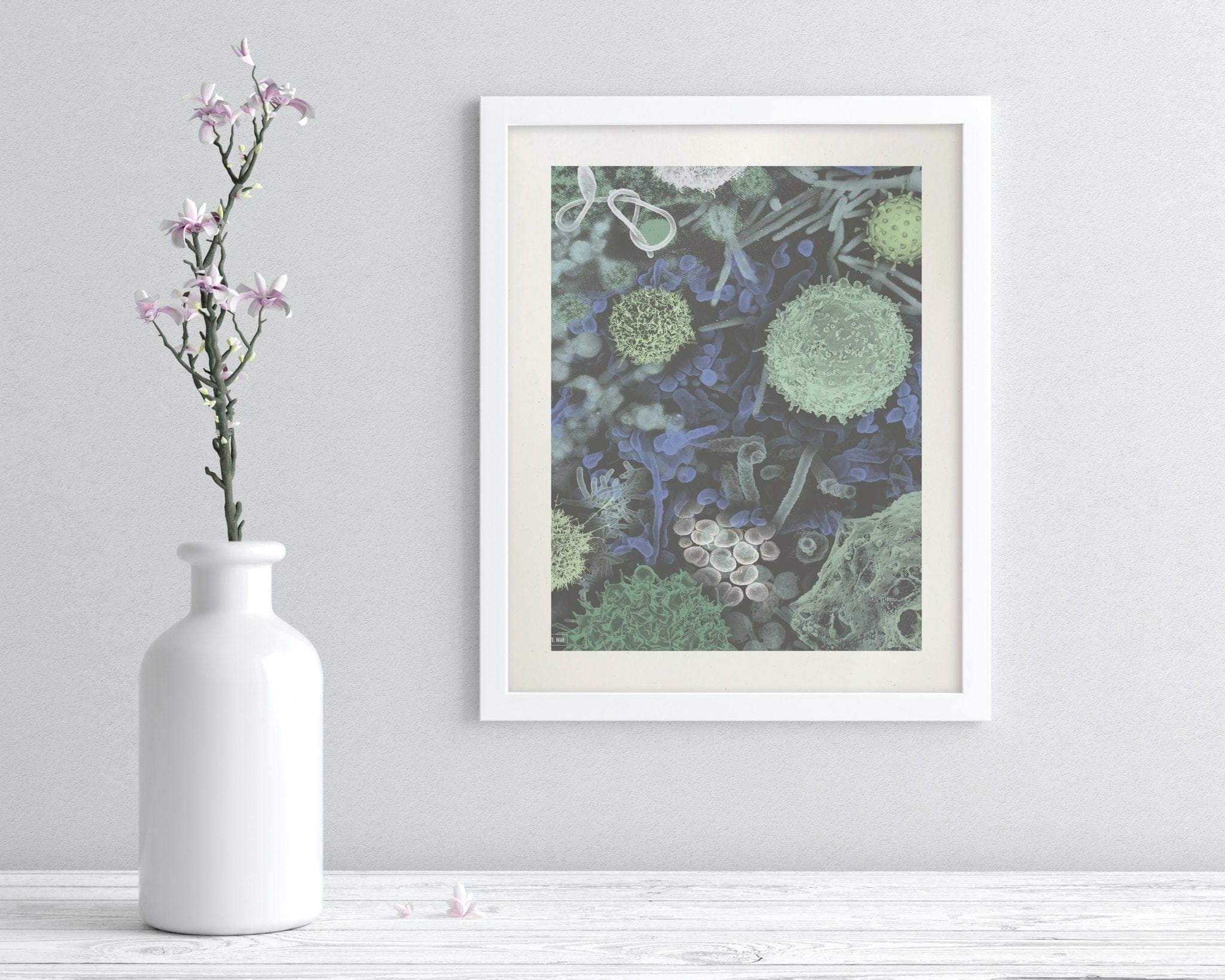 Infectious Disease Scientific Illustration Museum Print - Image 2