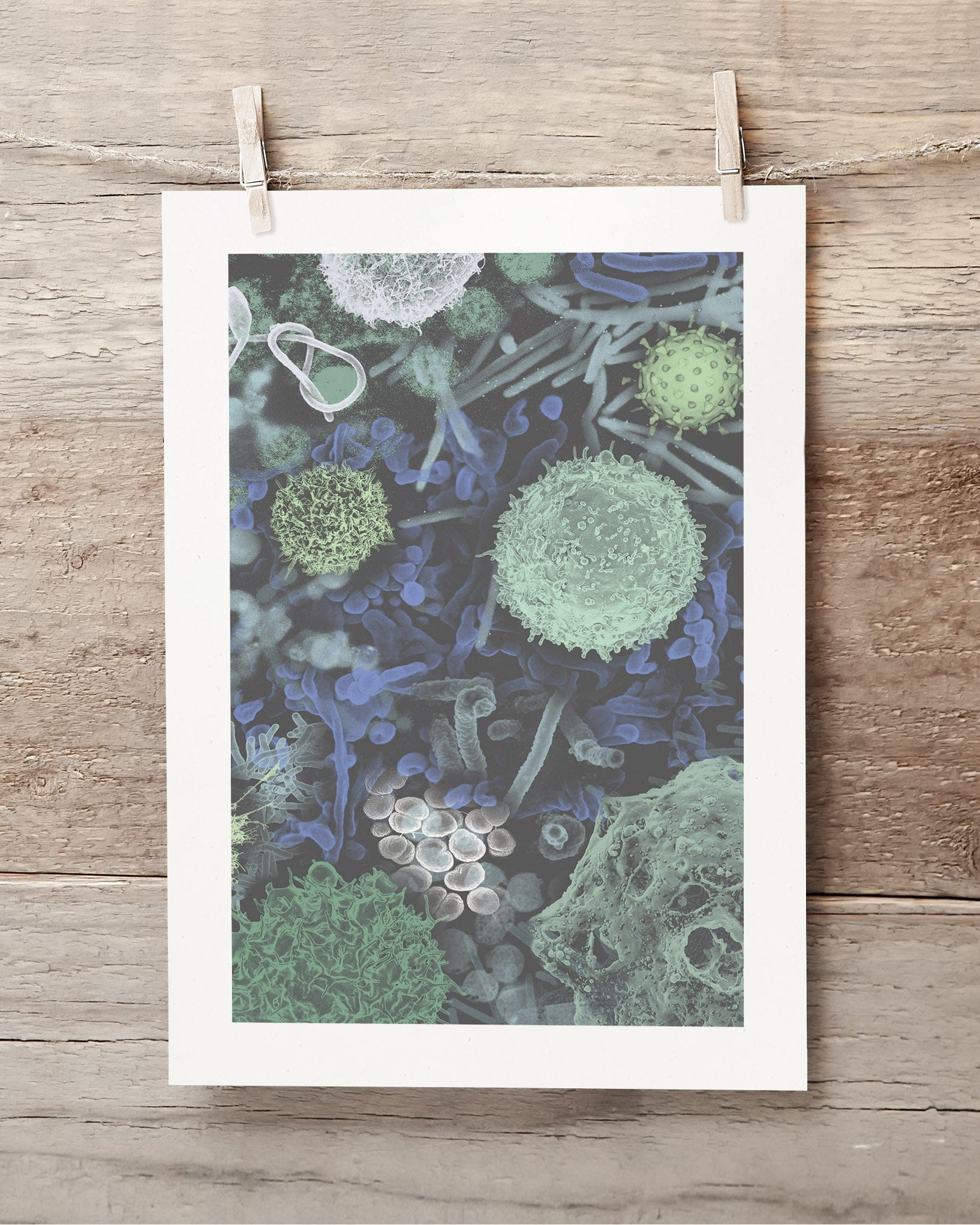Infectious Disease Scientific Illustration Museum Print - Image 4