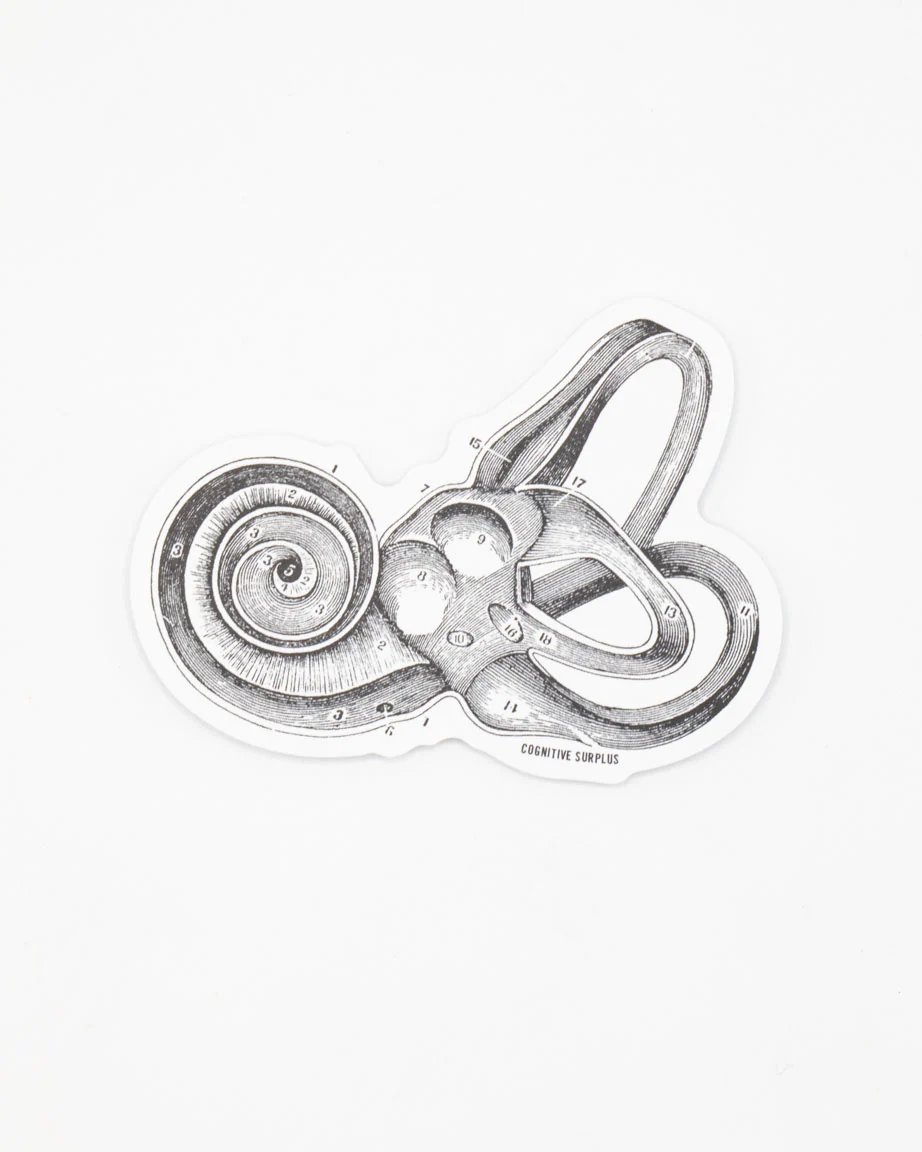 Inner Ear Sticker - Image 2