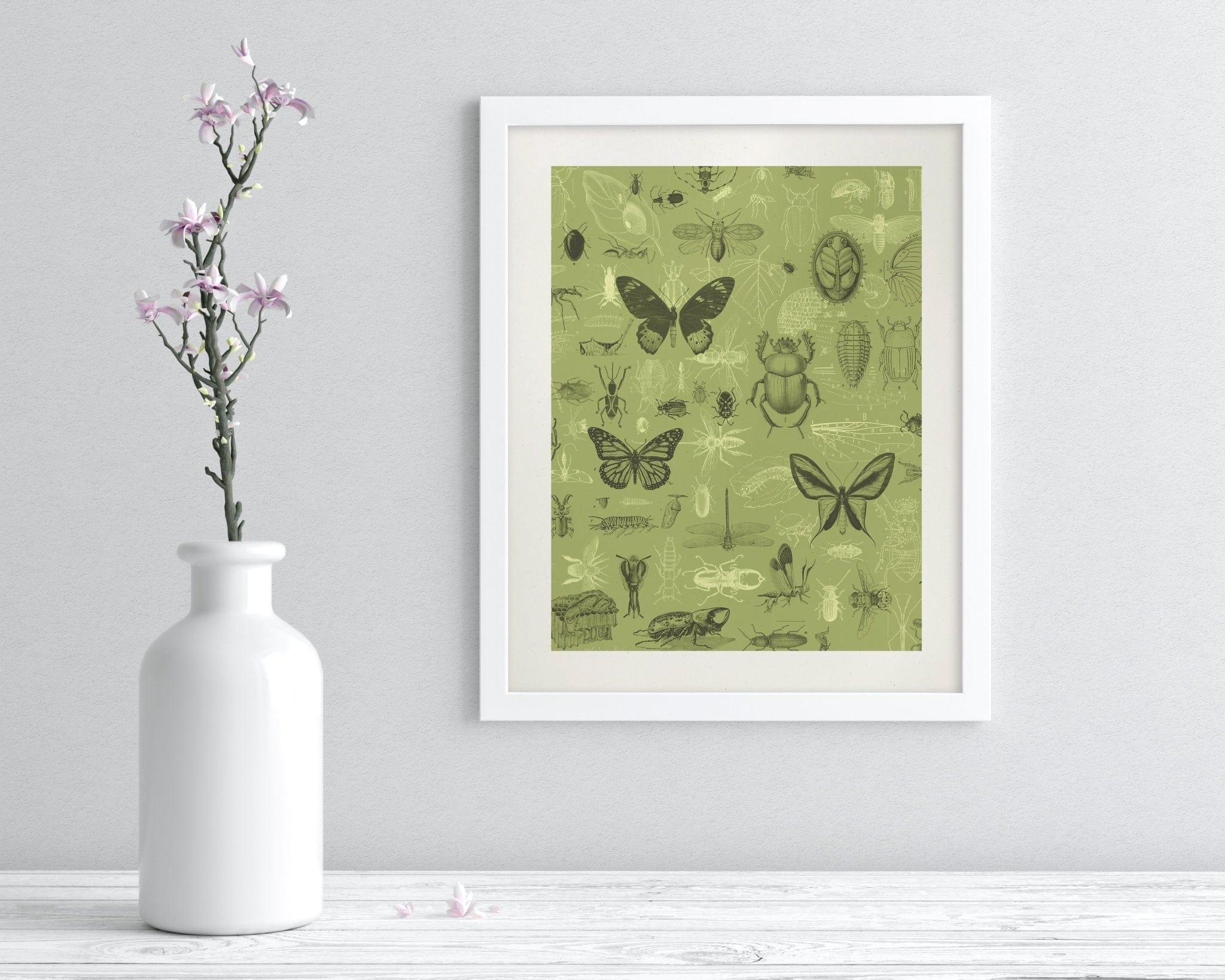 Insect Scientific Illustration Museum Print - Image 3
