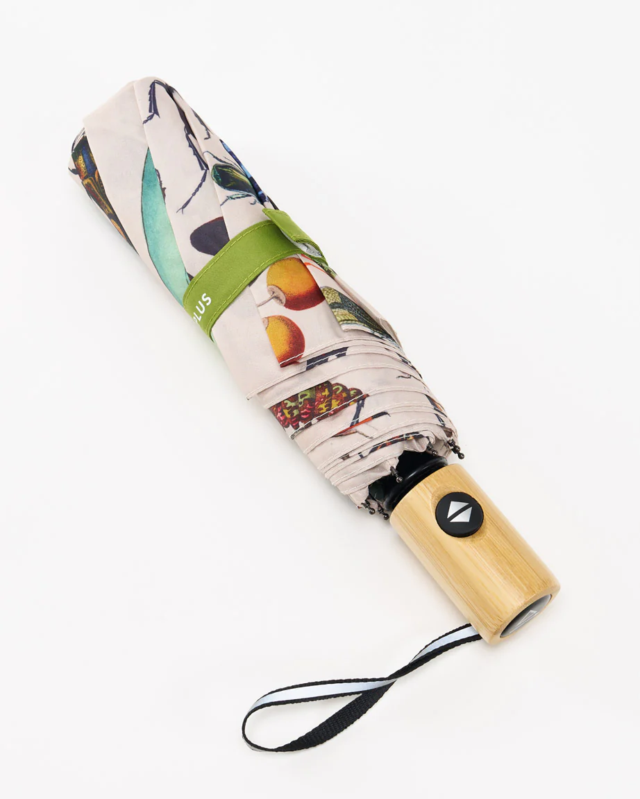 Insect Umbrella - Image 4