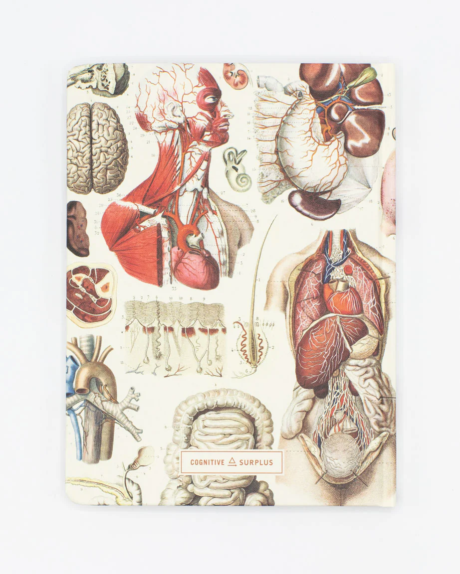 Internal Medicine Hardcover Notebook - Lined/Grid - Image 2