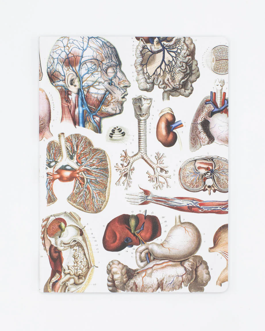 Internal Medicine Softcover Notebook - Lined