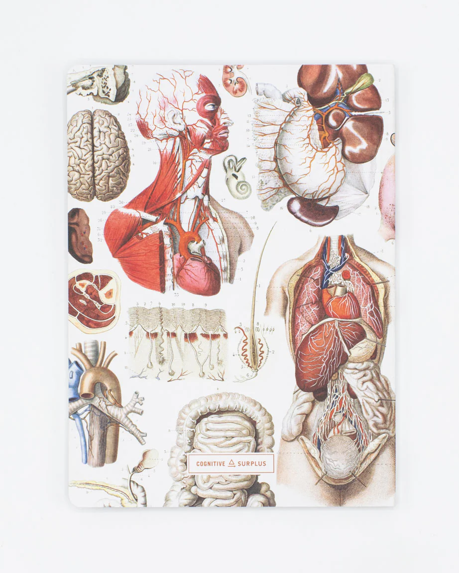 Internal Medicine Softcover Notebook - Lined - Image 2