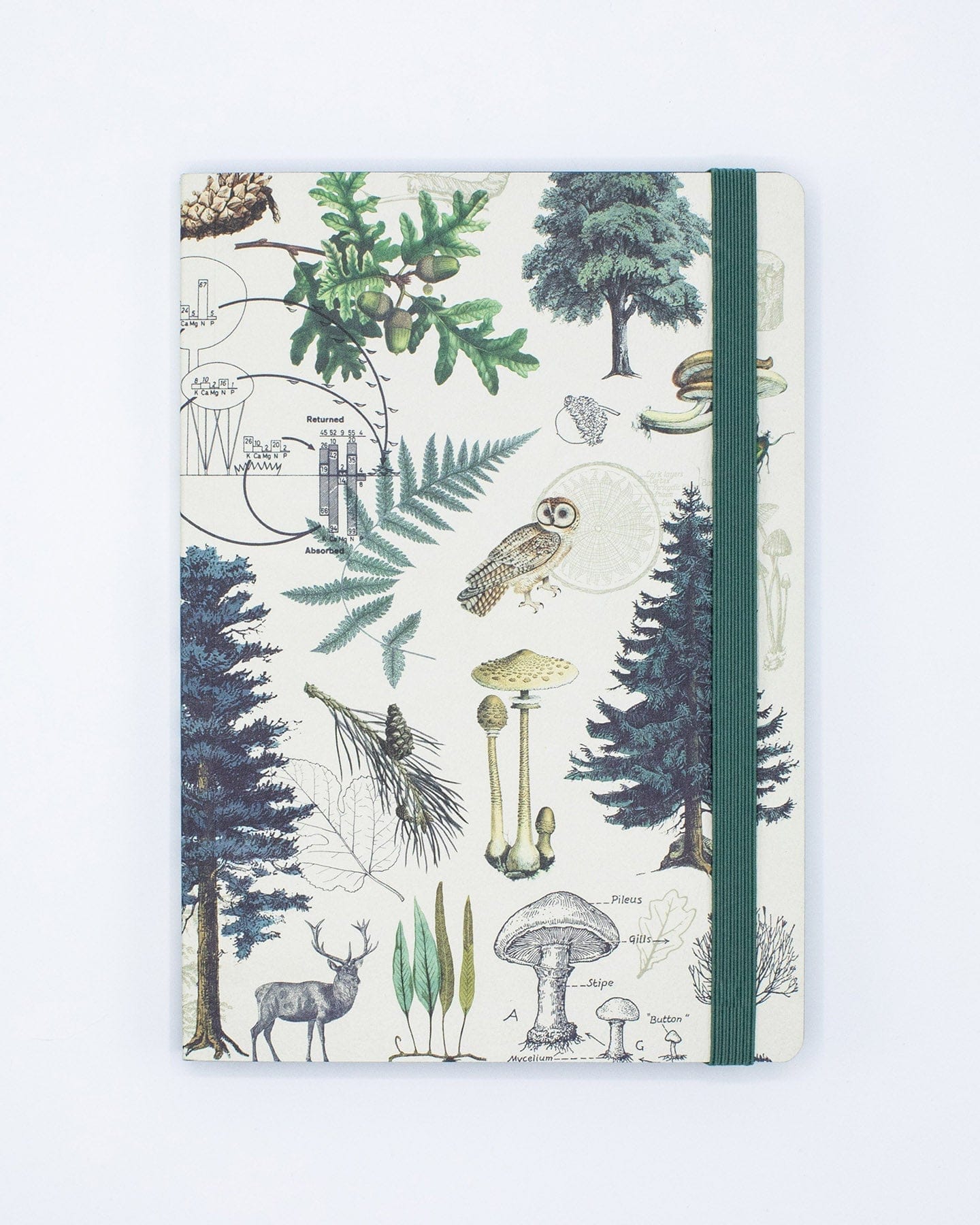 Woodland Forest A5 Softcover Notebook