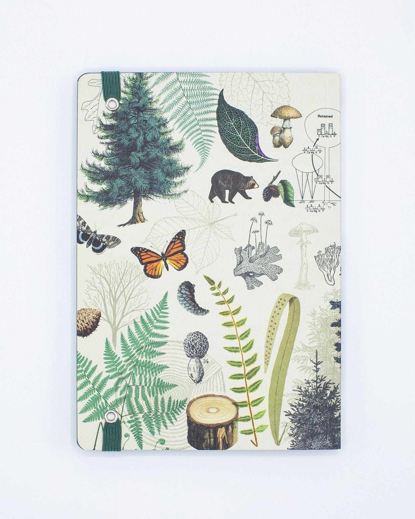 Woodland Forest A5 Softcover Notebook - Image 3