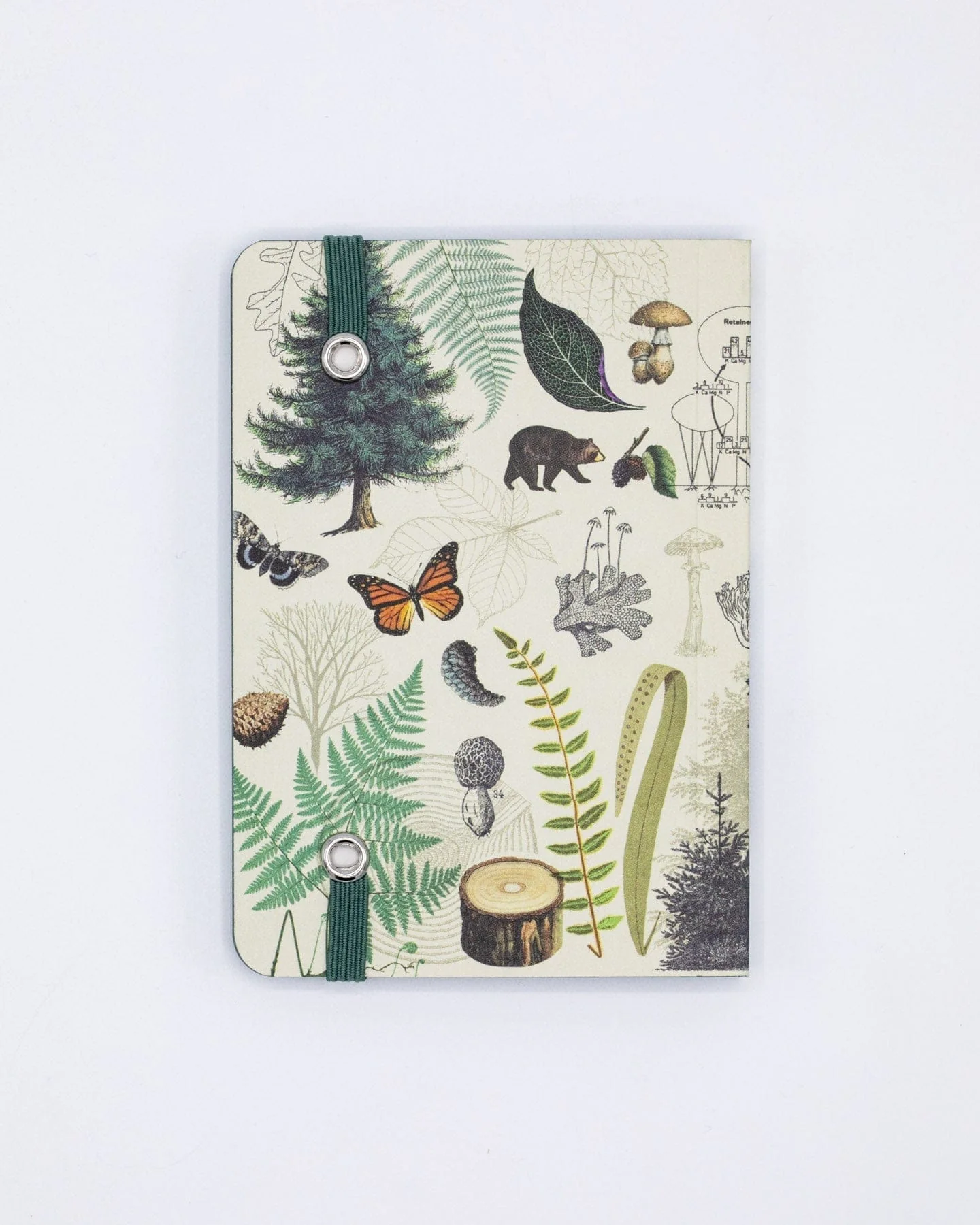 Into the Forest Observation Softcover - Image 3