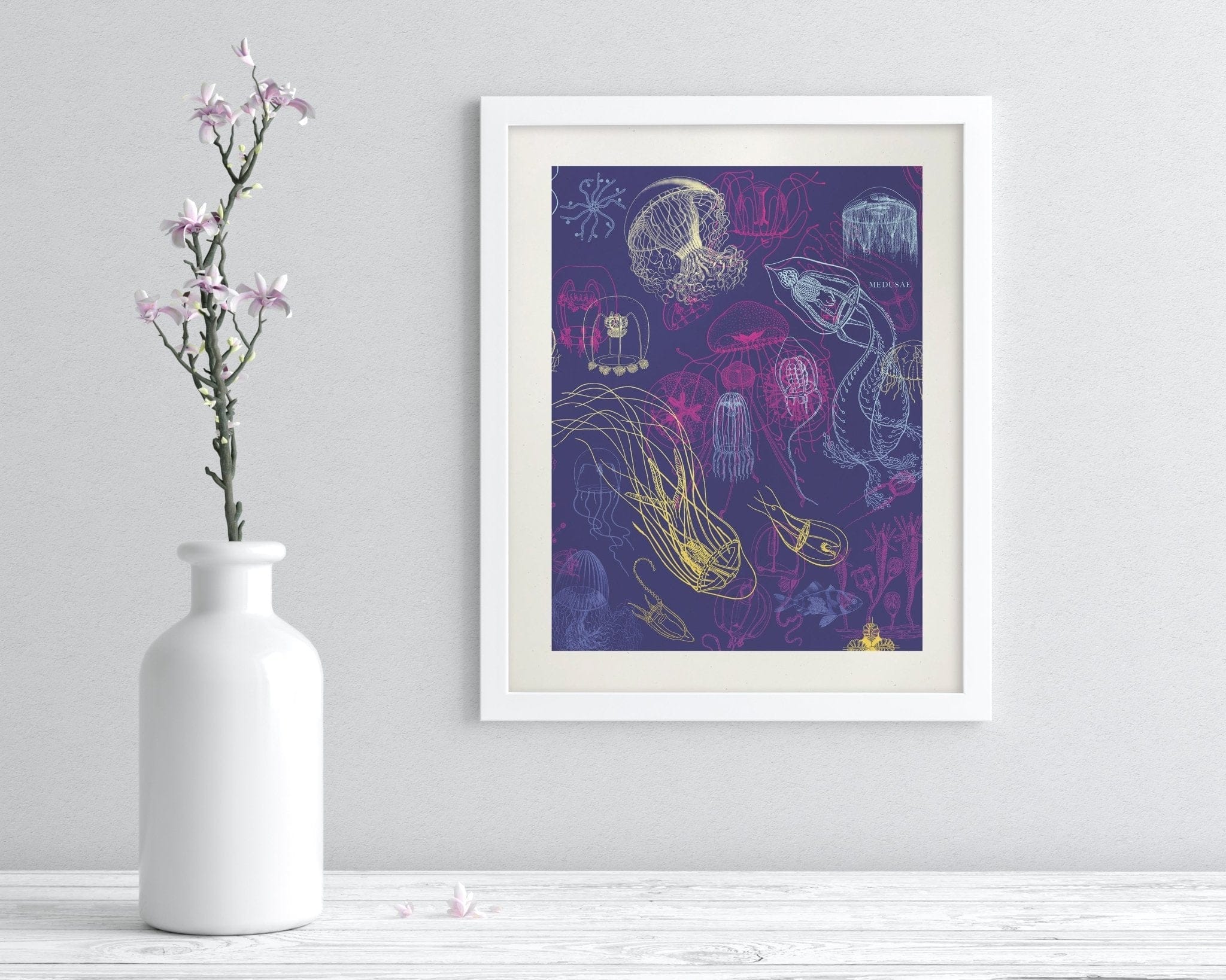 Jellyfish Scientific Illustration Museum Print - Image 3