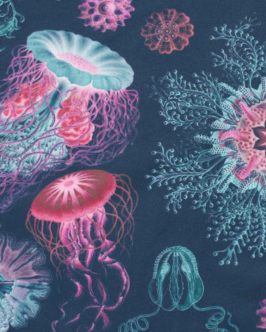 Haeckel Jellyfish Eco Pet Bandana - Image 2