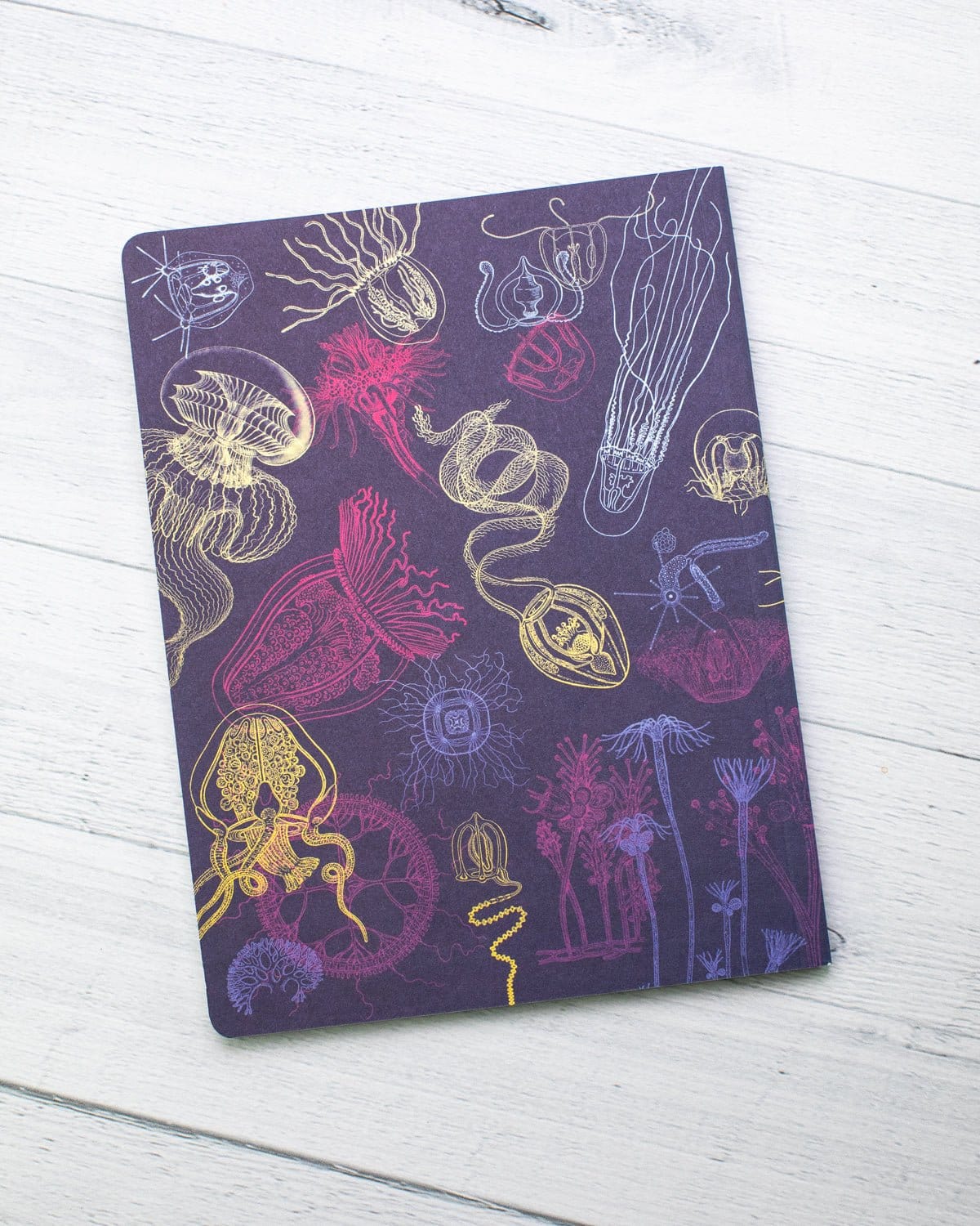 Jellyfish Softcover Notebook - Lined - Image 6
