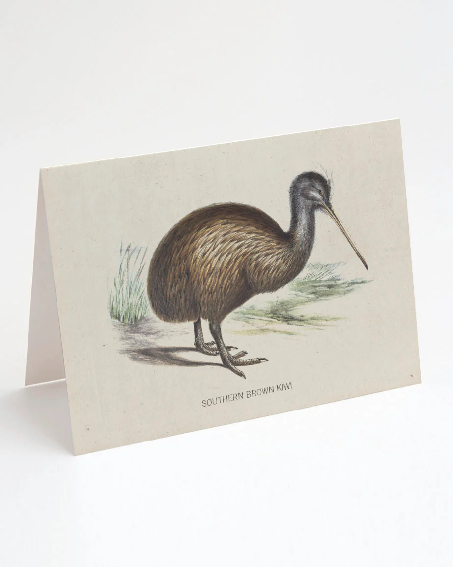 Kiwi Bird Greeting Card