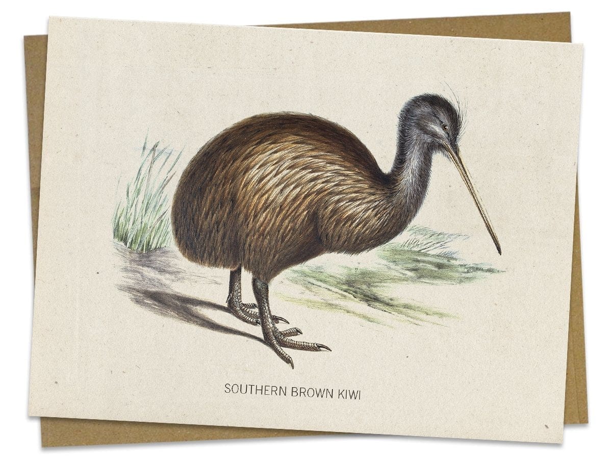 Kiwi Bird Greeting Card - Image 2
