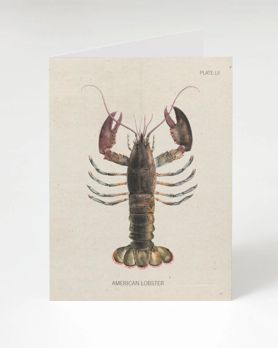 Lobster Greeting Card