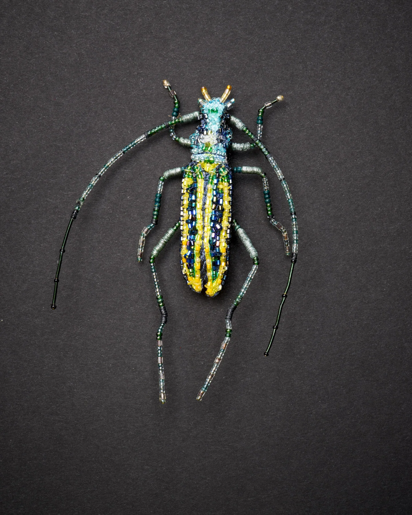 Longhorn Beetle Brooch Pin - Trovelore