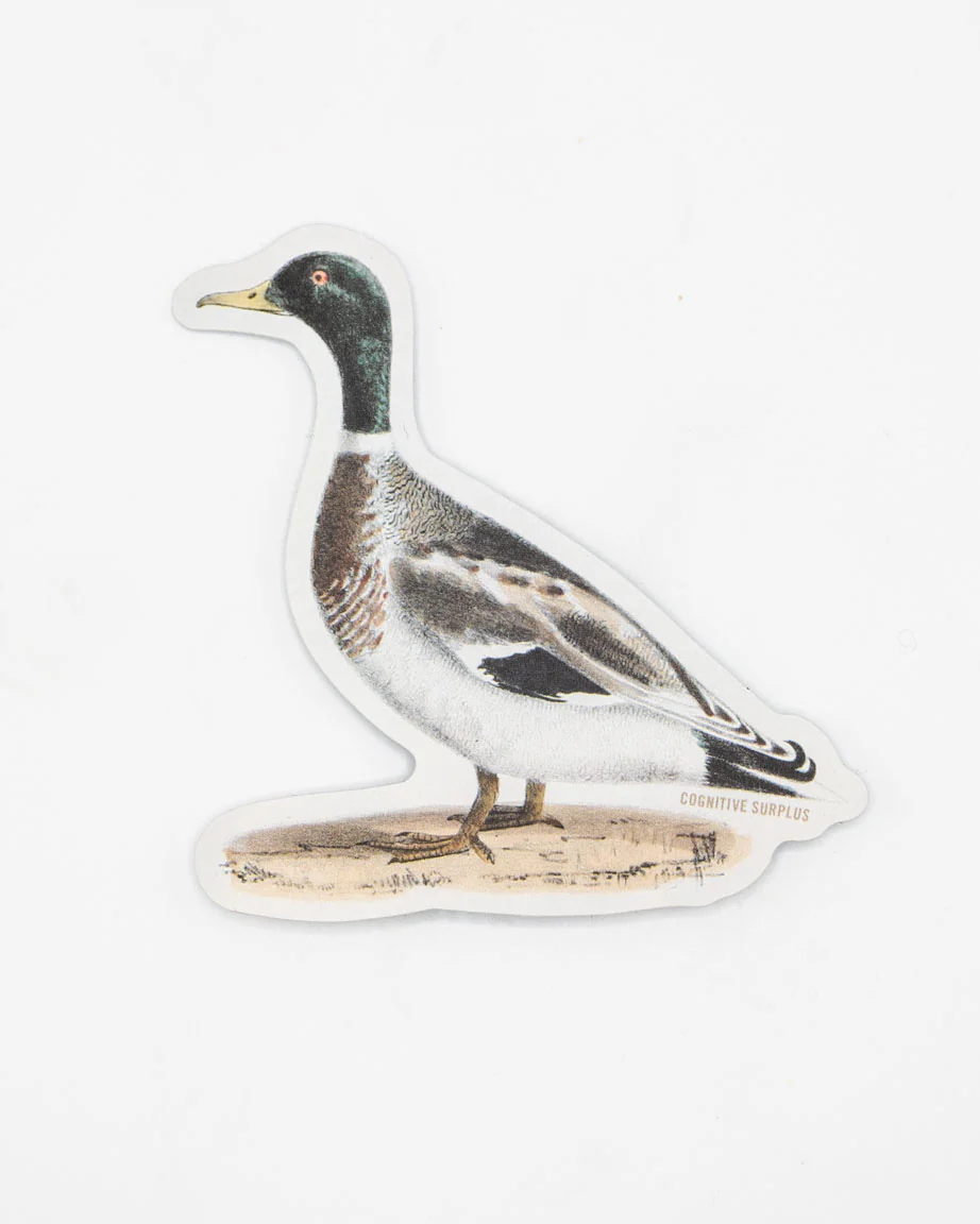 Mallard Sticker - Image 2