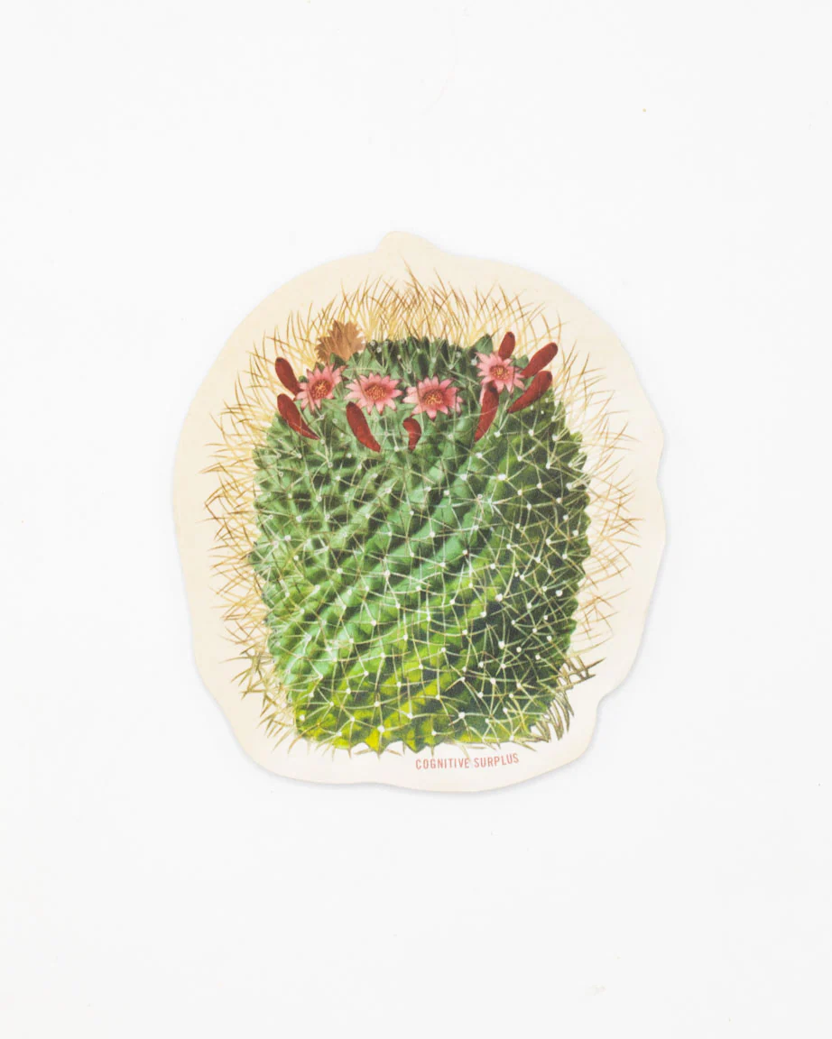 Mammillaria Cactus Sticker - Image 2