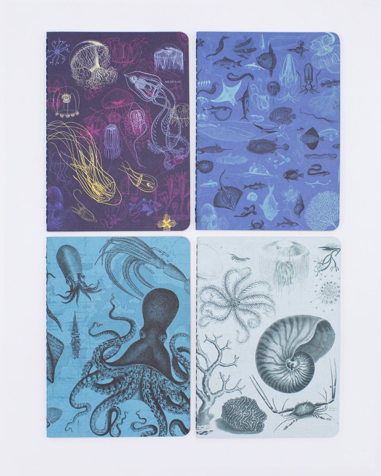 Marine Biology Pocket Notebook 4-pack - Image 4