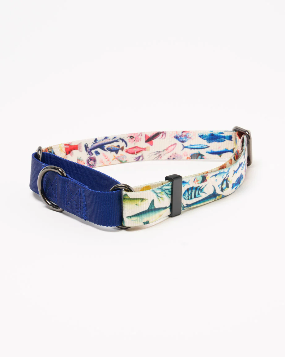 Ocean Science Eco Martingale Collar - Image 3