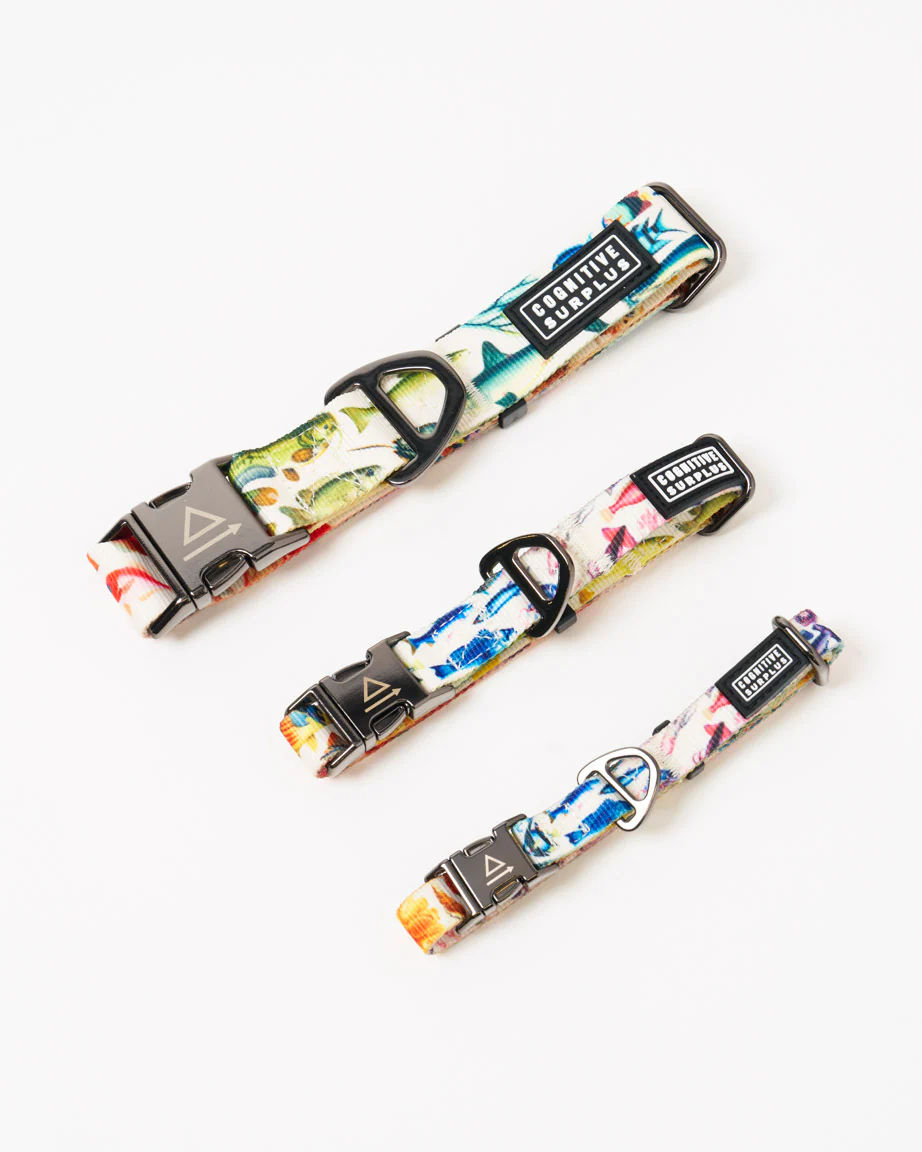 Ocean Science Eco Pet Collar - Image 2