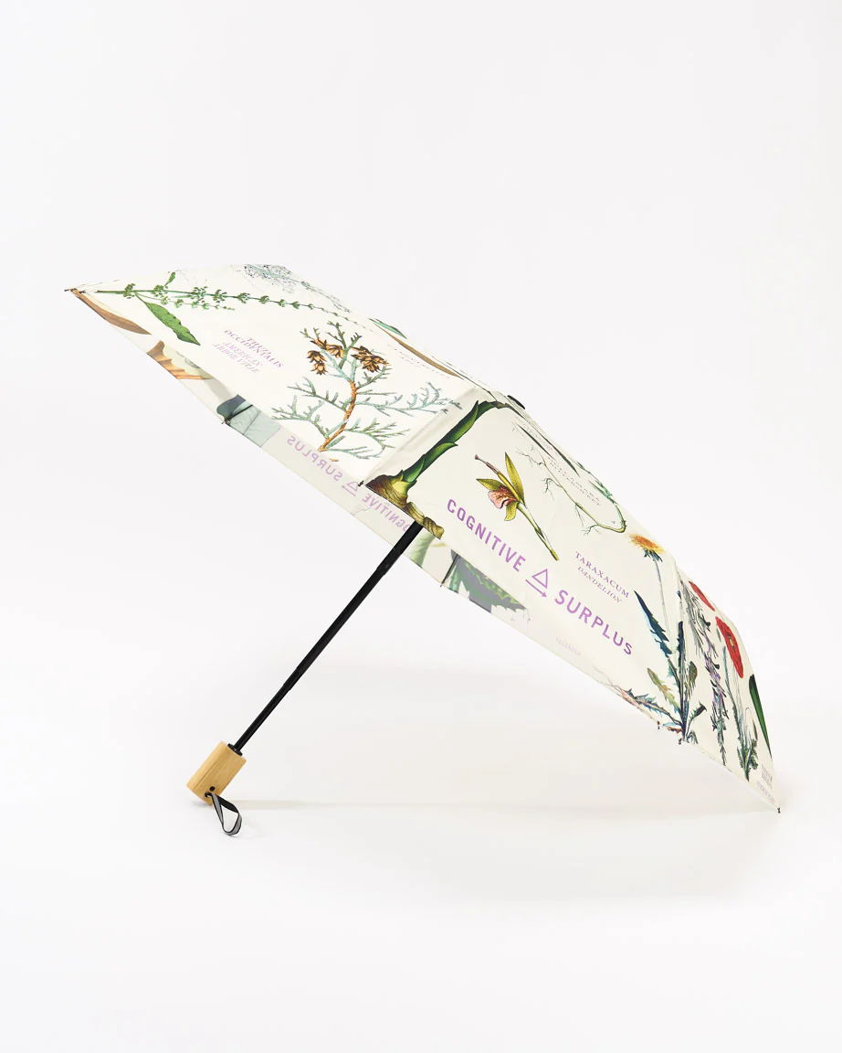 Medicinal Botany Umbrella - Image 2